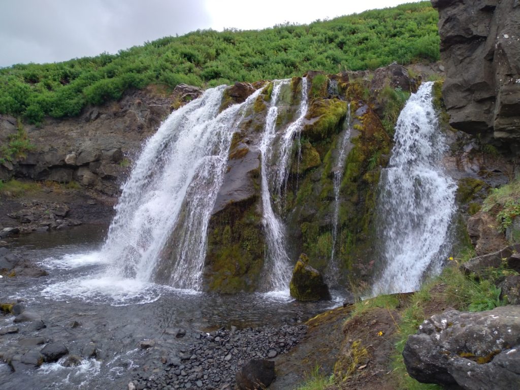 DraBiNa na Islandii